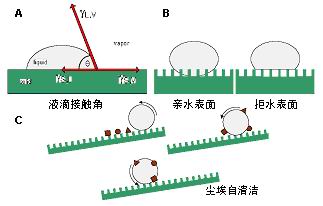 「接觸角儀」便攜式接觸角測量儀以其輕便的優(yōu)勢(shì)應(yīng)用于各行各業(yè)！